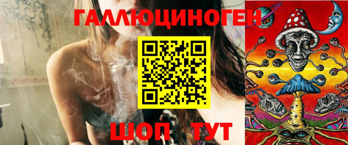 Малоярославец  Псилоцибиновые грибы Psilocybe  Вход с VPN 