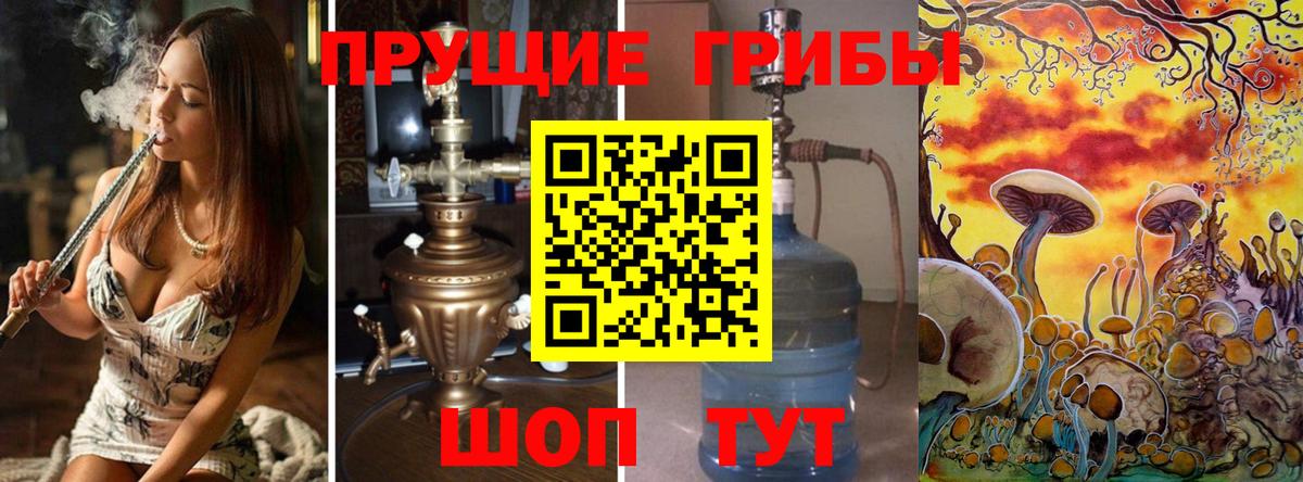 Галлюциногенные грибы Psilocybine cubensis Малоярославец